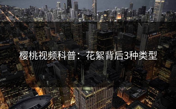 樱桃视频科普：花絮背后3种类型