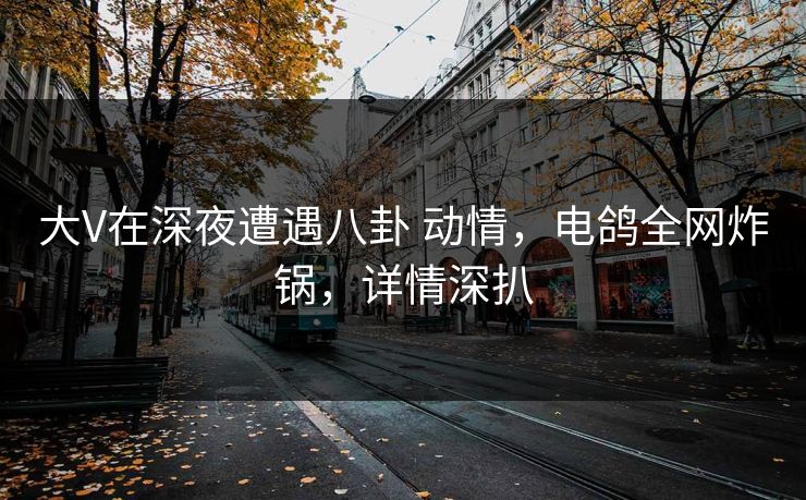 大V在深夜遭遇八卦 动情，电鸽全网炸锅，详情深扒