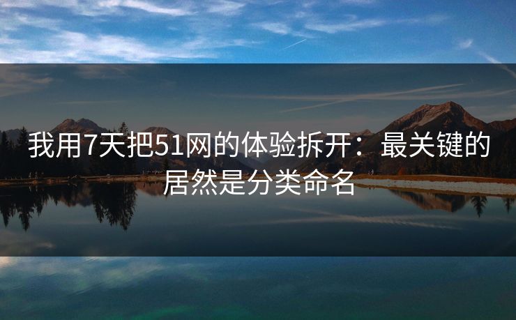 我用7天把51网的体验拆开：最关键的居然是分类命名